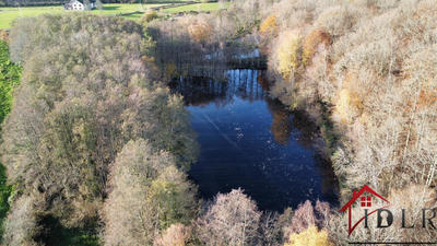 Terrain - 46 300 m²