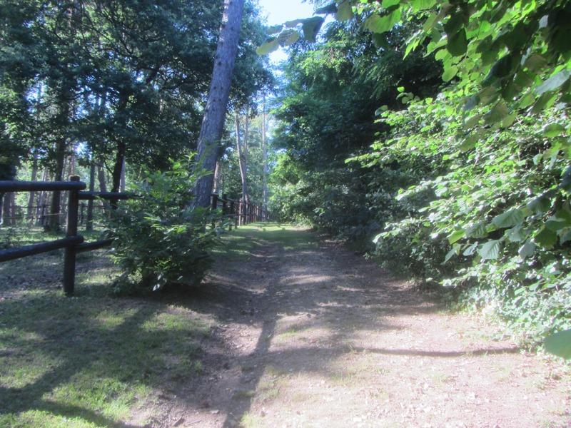 Haras - 330 m² - 15 pièces