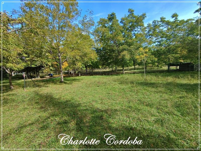 Maison - 313 m² - 10 pièces