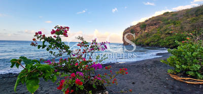 Appartement - 50 m² - 3 pièces