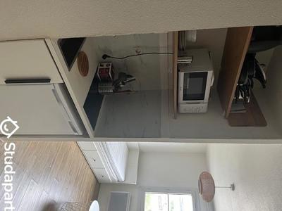 Appartement - 17 m² - 1 pièce