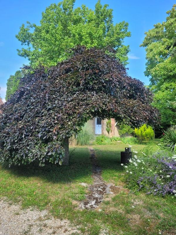 Maison - 144 m² - 4 pièces