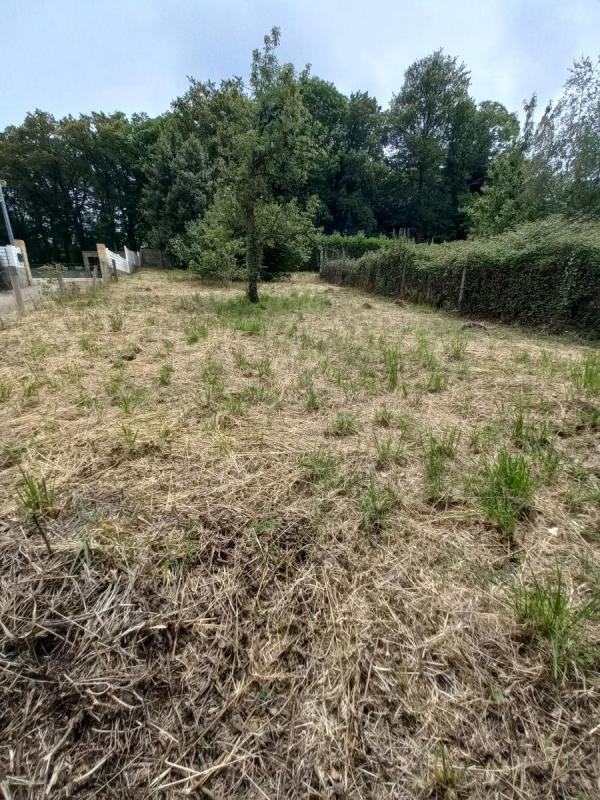 Terrain constructible - 397 m²