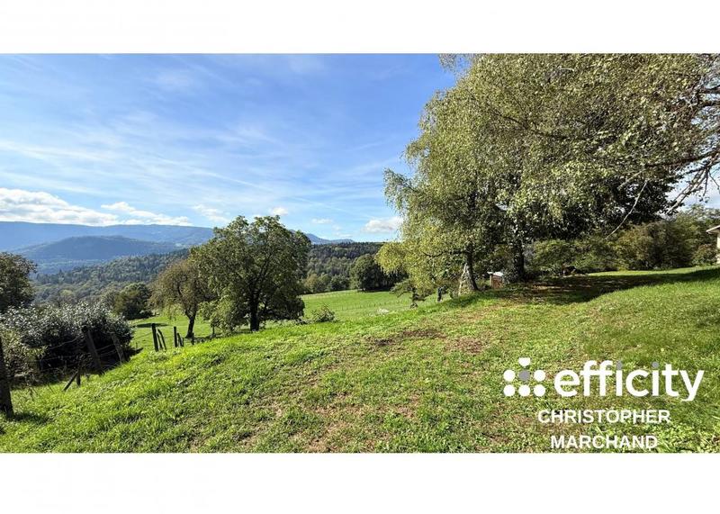 Terrain - 980 m²