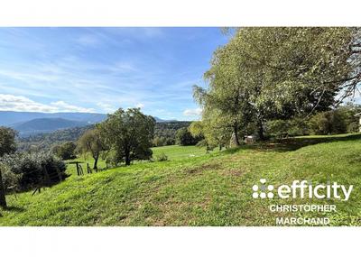 Terrain - 980 m²