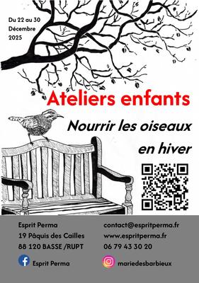 Nourrir les oiseaux en hiver