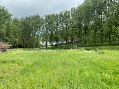Terrain - 200 000 m²