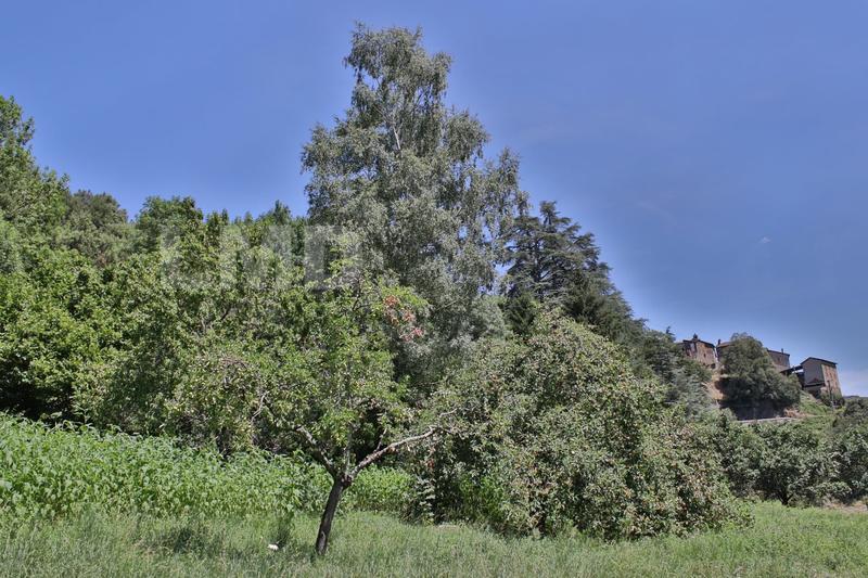 Maison - 437 m² - 17 pièces