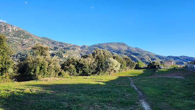 Terrain - 795 m²
