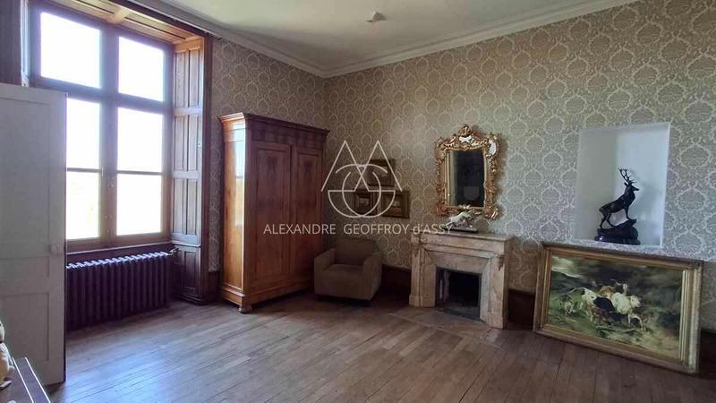 Château - 700 m² - 20 pièces