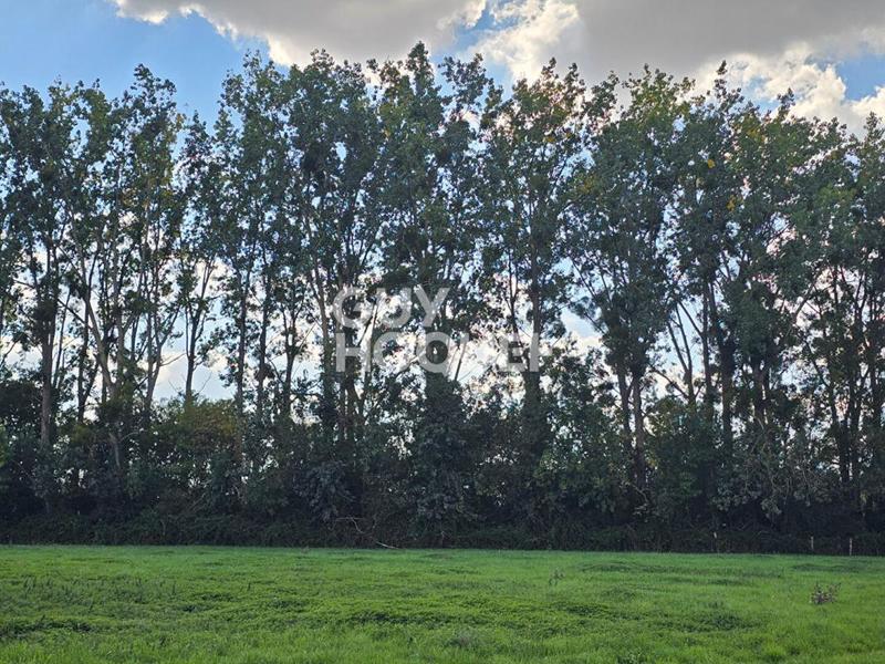 Terrain de loisirs - 6 080 m²