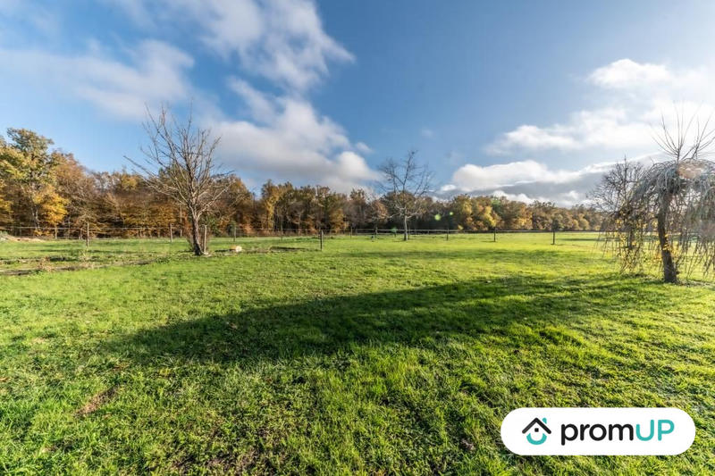 Maison ancienne - 165 m² - 6 pièces