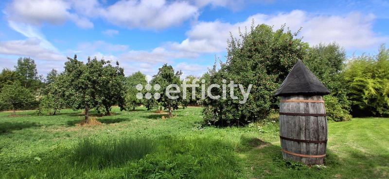 Propriété - 205 m² - 6 pièces