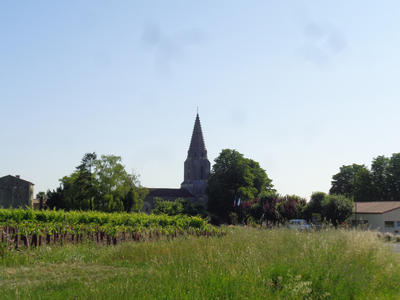 Terrain constructible - 2 000 m²