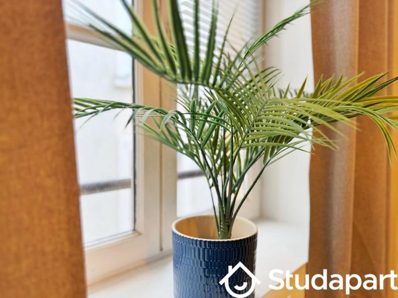 Appartement - 34 m² - 2 pièces