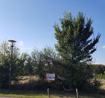 Terrain constructible - 1 313 m²