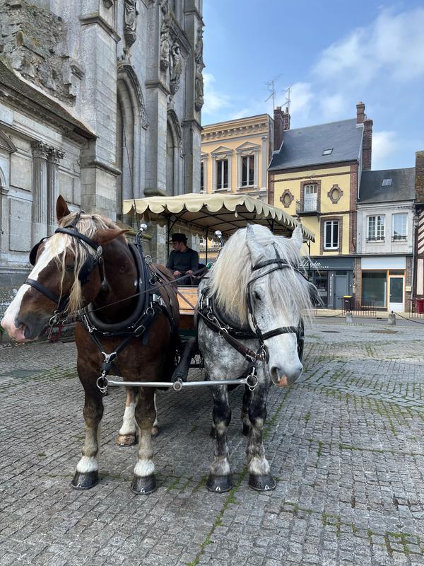 Histoires en calèche : Souvenirs de Verneuil