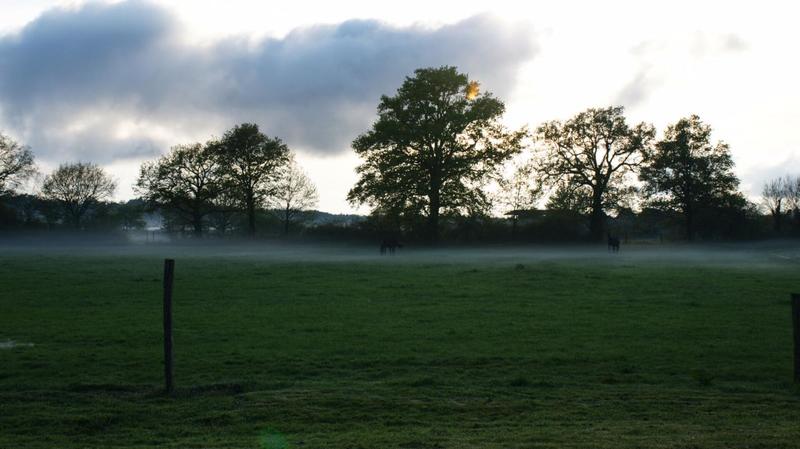 Propriété - 301 m² - 8 pièces