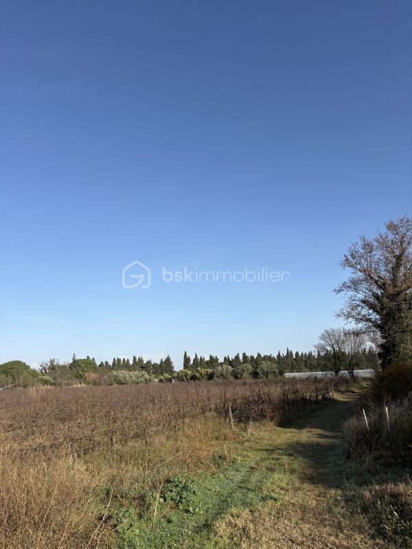 Terrain agricole - 35 235 m²