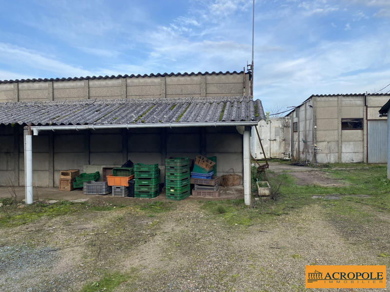 Ferme - 87 m² - 5 pièces