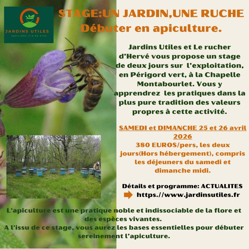 Stage Apiculture en Périgord