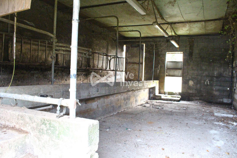 Entrepôt - 1 000 m²