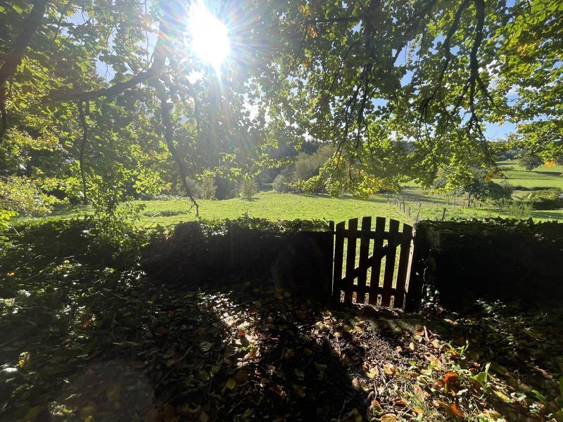 Maison de domaine - 400 m² - 50 pièces