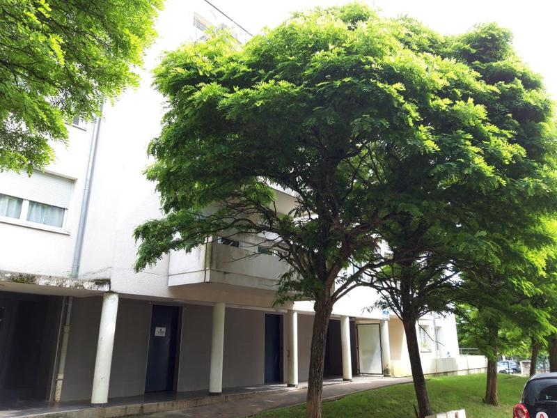 Appartement ancien - 98 m²