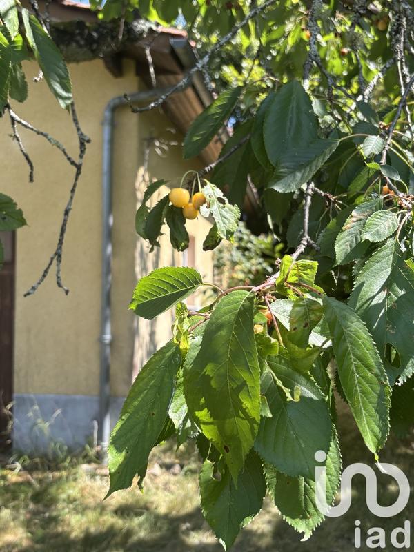 Maison de campagne - 87 m² - 3 pièces