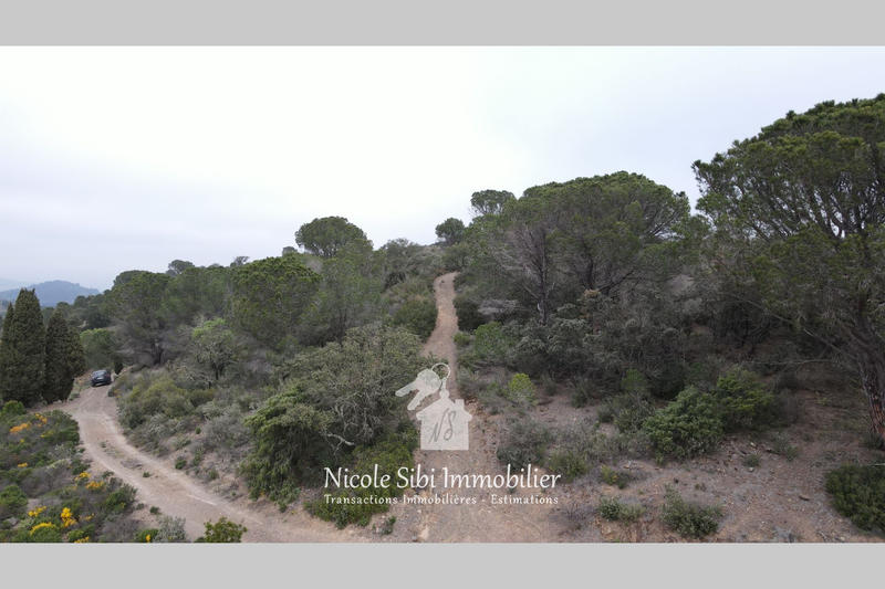 Terrain - 25 575 m²