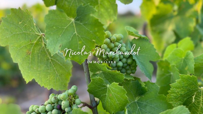 Local commercial - 130 900 m²