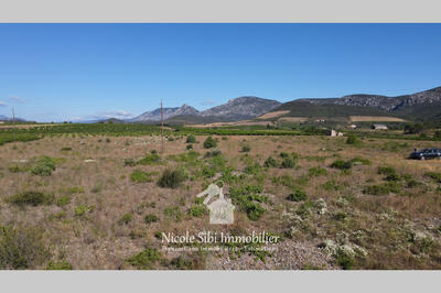 Terrain agricole - 7 960 m²