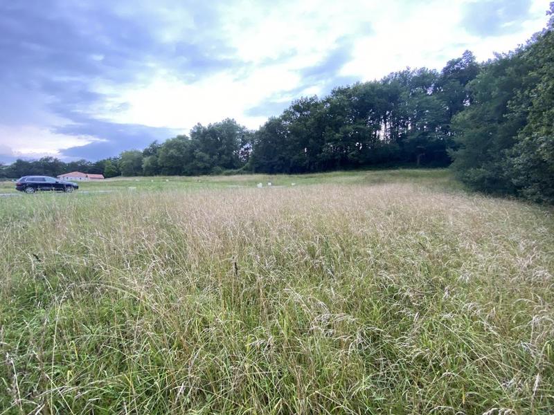 Terrain constructible - 747 m²