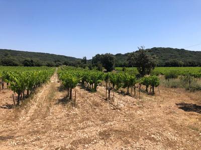 Terrain - 43 000 m²