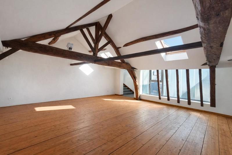 Loft - 55 m² - 3 pièces