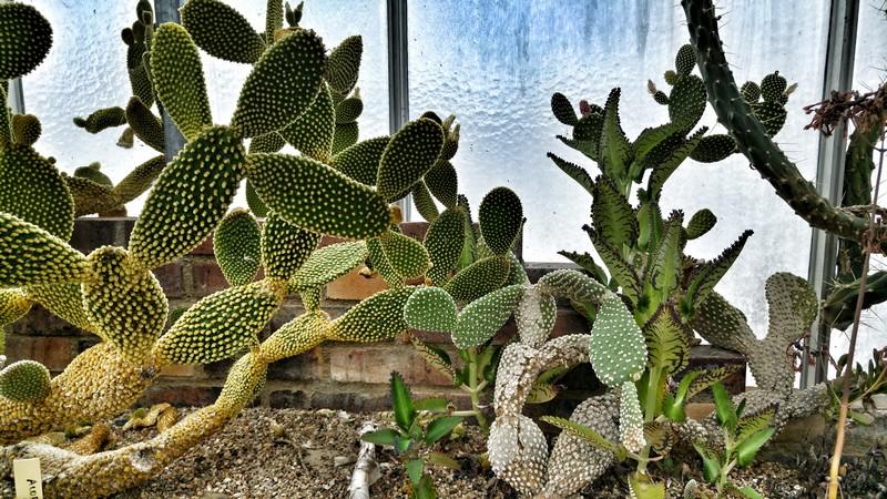 Évasion sous les tropiques