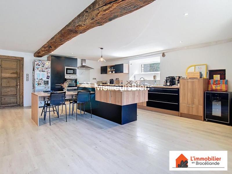 Longère - 199 m² - 5 pièces