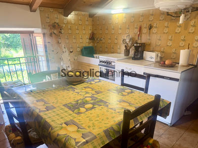 Appartement - 33 m² - 1 pièce