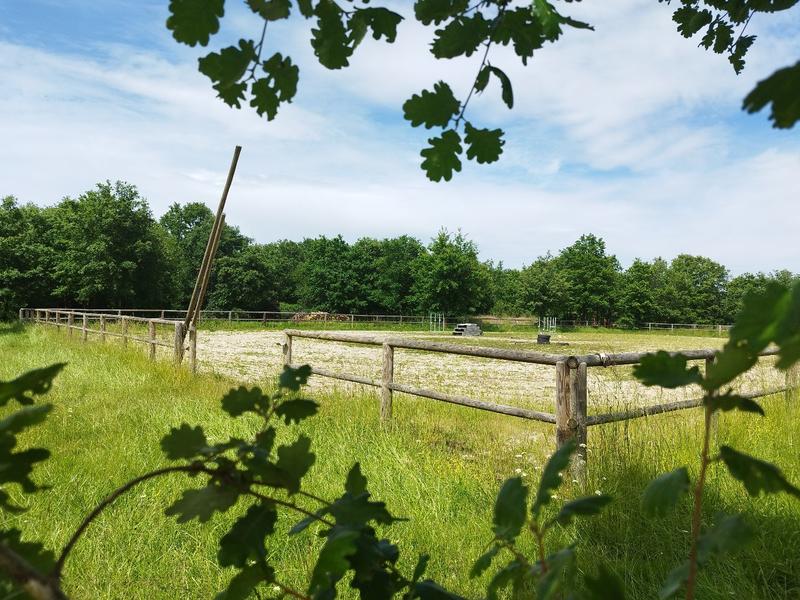 Propriété - 221 m² - 10 pièces