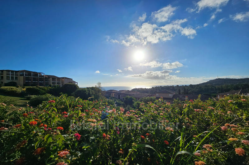 Appartement - 23 m² - 1 pièce