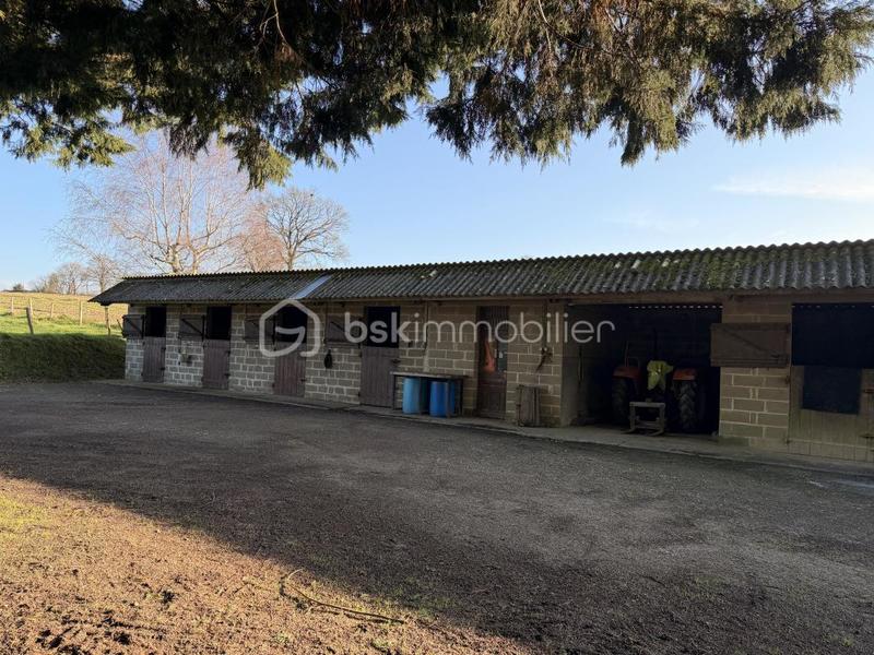 Maison de domaine équestre - 155 m² - 7 pièces