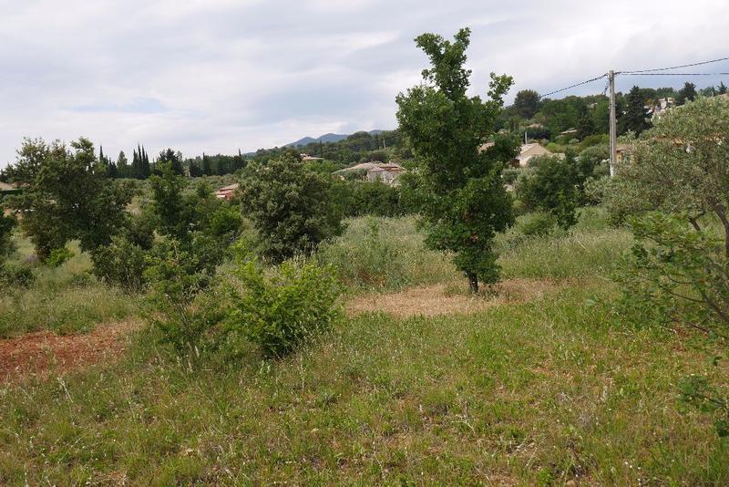 Terrain constructible - 2 005 m²