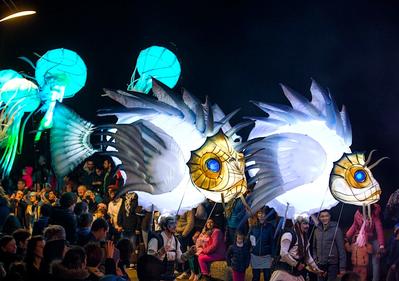 Déambulation nocturne : l'envol