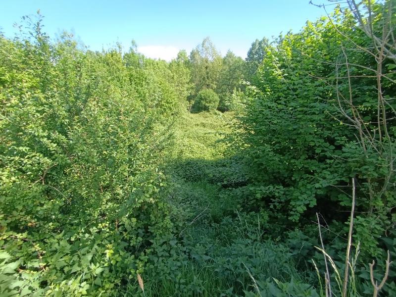 Maison de campagne - 104 m² - 4 pièces