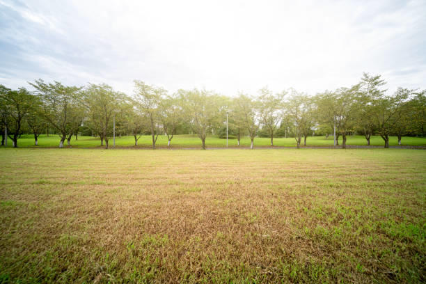 Terrain constructible - 450 m²