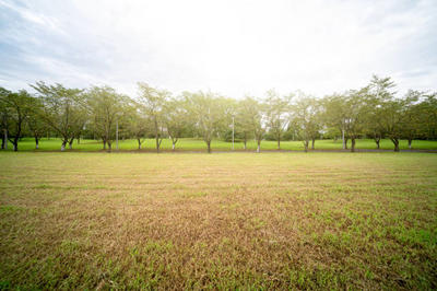 Terrain constructible - 450 m²