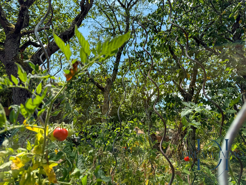 Maison ancienne - 240 m² - 6 pièces