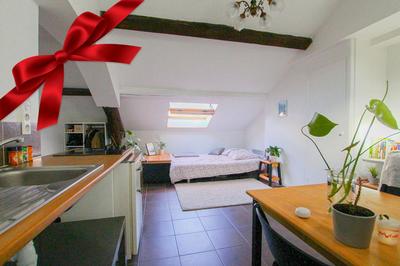 Studio - 29 m² - 1 pièce