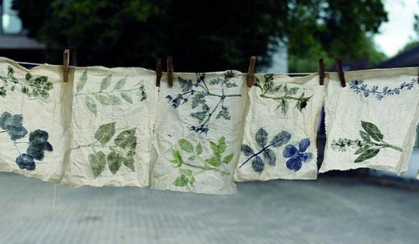 Plantes tinctoriales