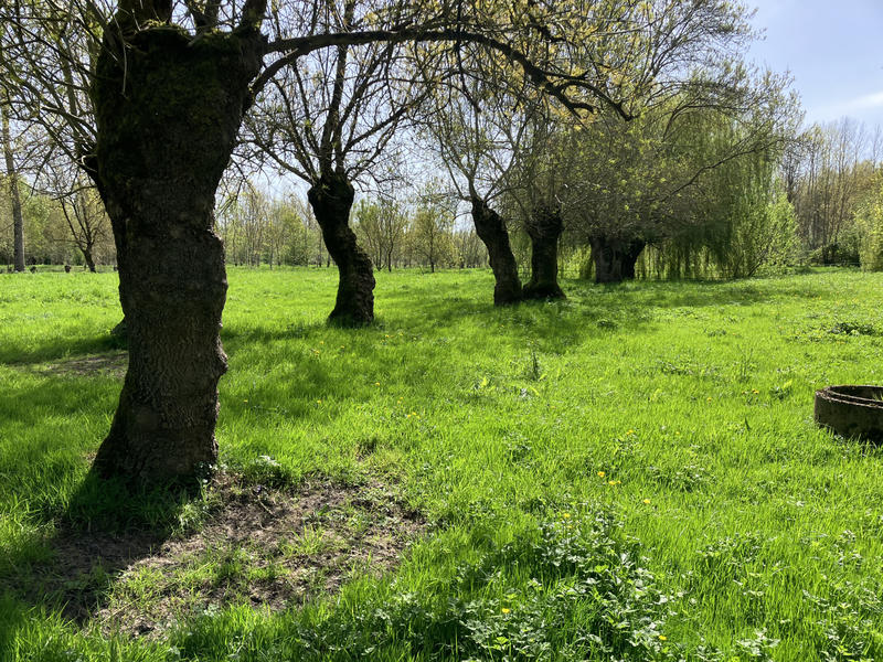 Maison - 198 m² - 8 pièces